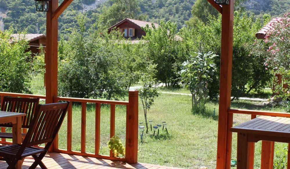Villa Iz Çıralı Exteriér fotografie
